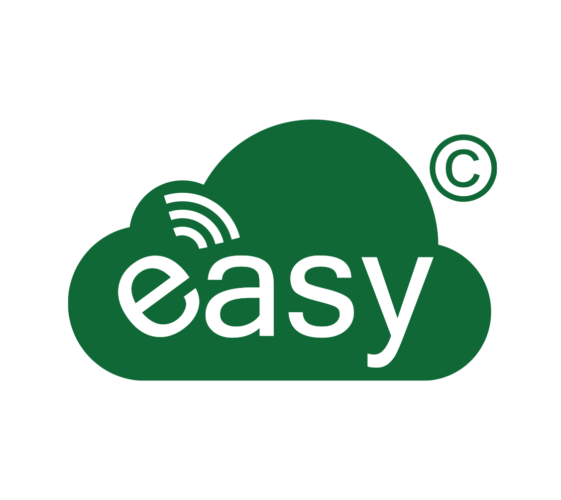 Easy-NB Logo