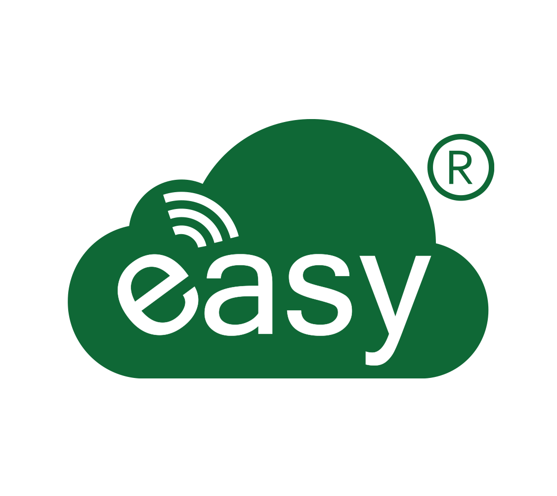 Easy-NB Logo