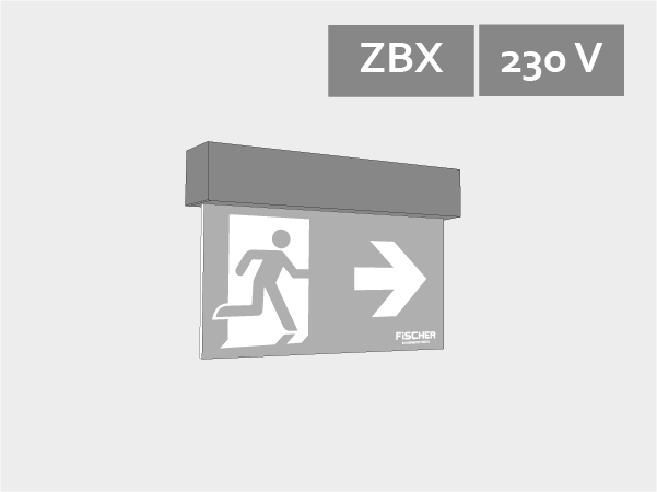 ZBX escape sign luminaires